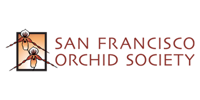 SF Orchid Society